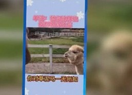 91黑料网官方入口揭秘：韩国娱乐圈直播间成吃瓜新地标，幕后故事引热议