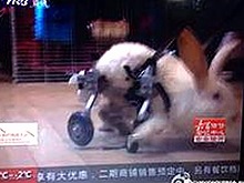 娱乐圈趣味八卦大揭秘：从吃瓜腻叔到热点真相