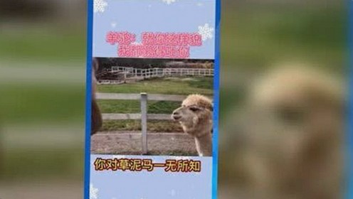 91黑料网官方入口揭秘：韩国娱乐圈直播间成吃瓜新地标，幕后故事引热议