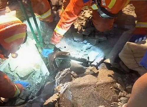 派大星与金发长腿辣妹的激情瞬间：事件回顾与真相揭秘